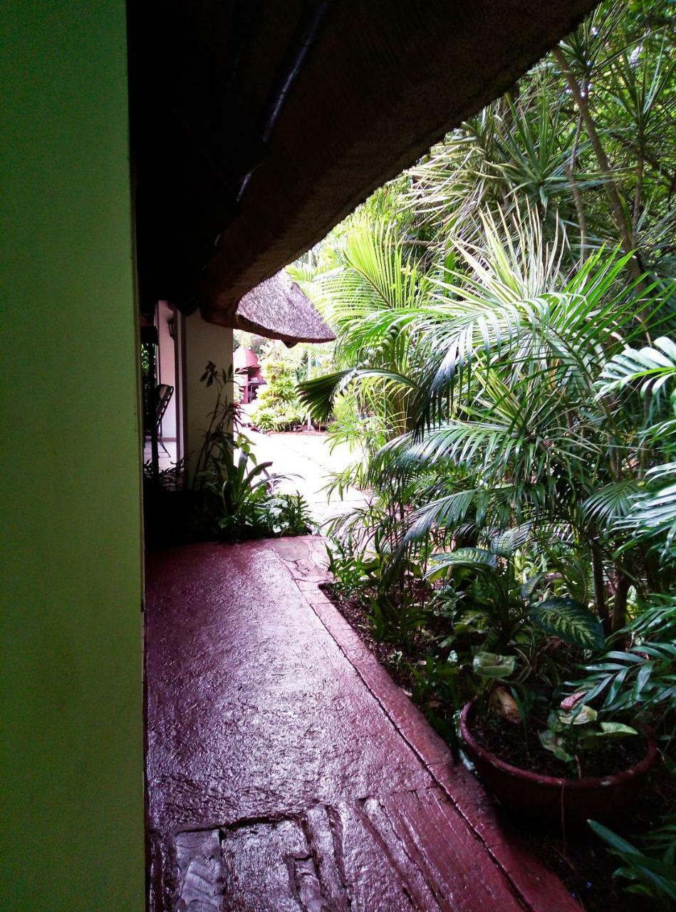 African Ambience Guest House Saint Lucia Estuary Kültér fotó